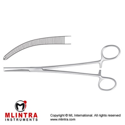 Heiss Haemostatic Forceps Curved - 1 x 2 Teeth Stainless Steel, 20 cm - 8"